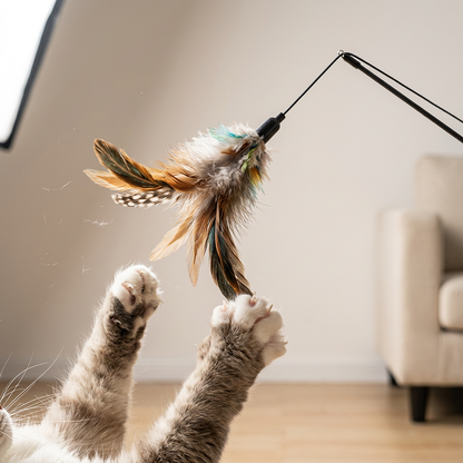Cat Feather Wand Toy — 3 Interchangeable Heads Interactive Play